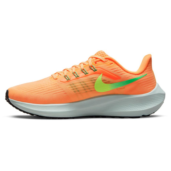 Nike Air Zoom Pegasus 39 Nike Air Zoom Pegasus 39